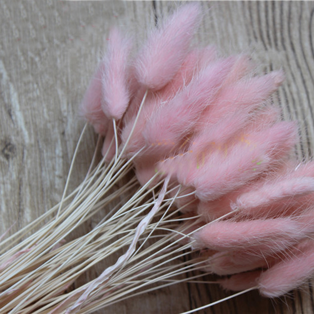 50pcs dried natural flower bou – Dried Flower Bunch recenzja i cena