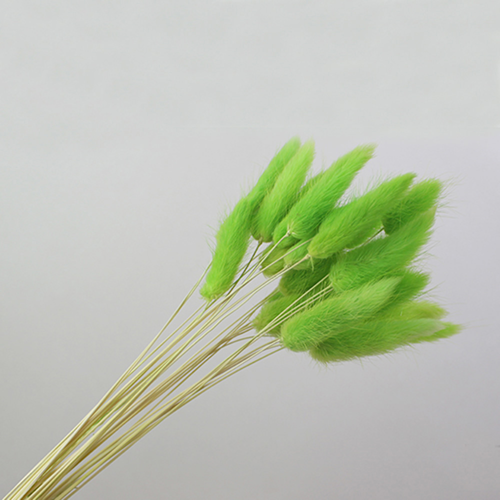 50pcs dried natural flower bou – Dried Flower Bunch recenzja i cena
