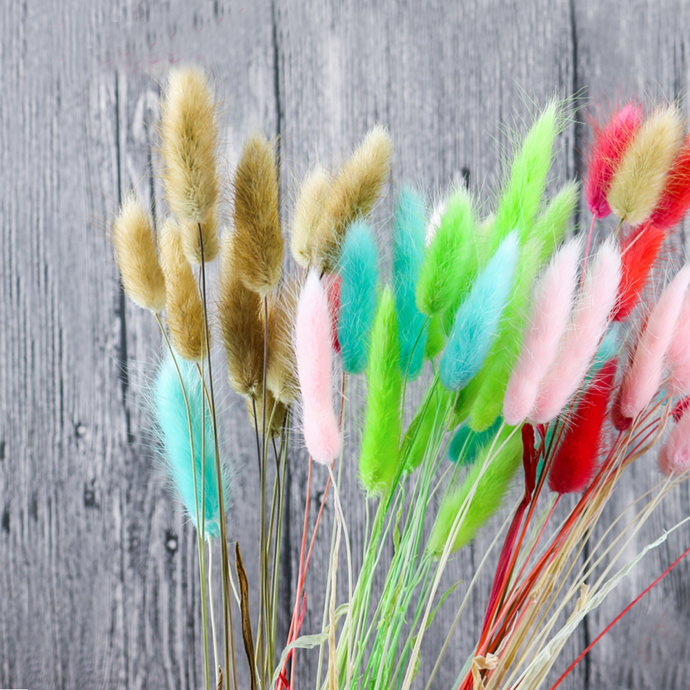 50pcs dried natural flower bou – Dried Flower Bunch recenzja i cena