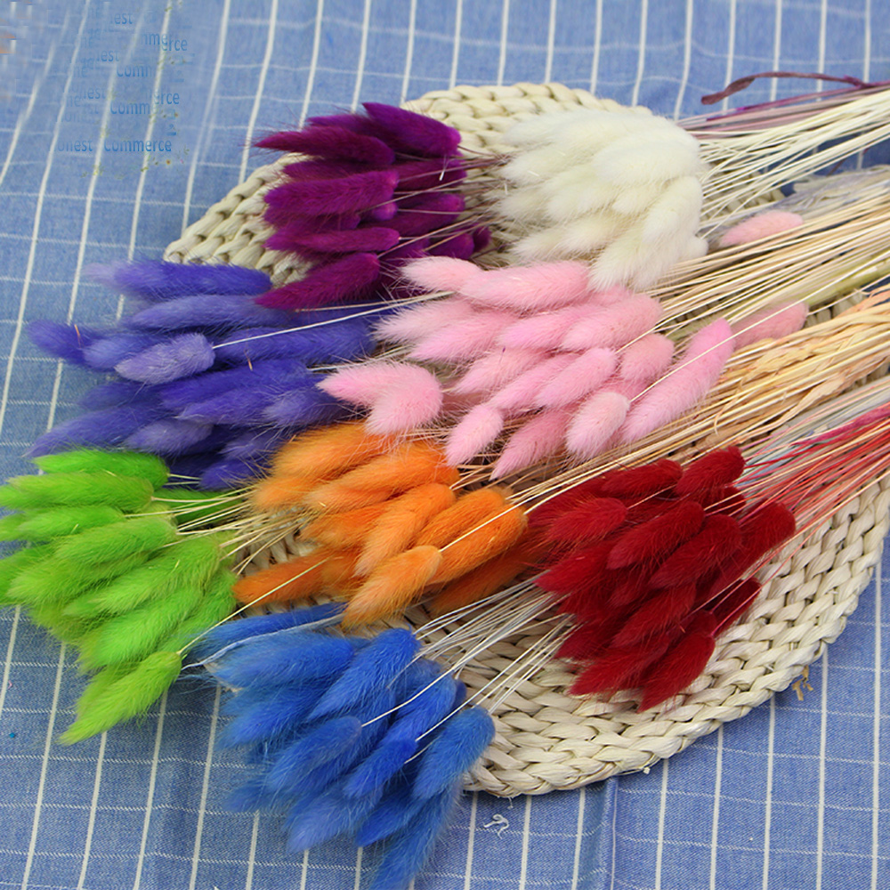 50pcs dried natural flower bou – Dried Flower Bunch recenzja i cena