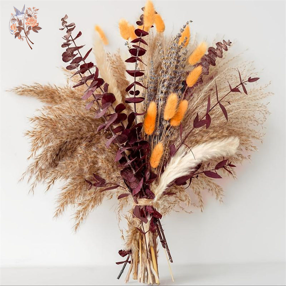 75PCS Dried Pampas Eucalyptus  – Dried Flower Bunch recenzja i cena