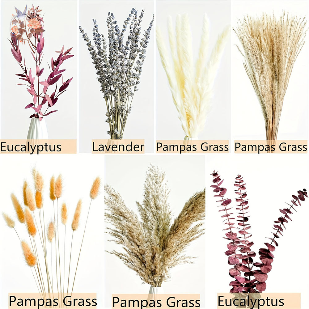 75PCS Dried Pampas Eucalyptus  – Dried Flower Bunch recenzja i cena