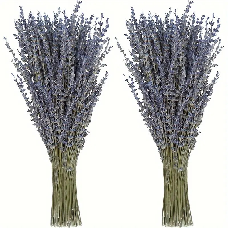 200pcs/Bunch Lavender Dried Fl – Dried Flower Bunch recenzja i cena