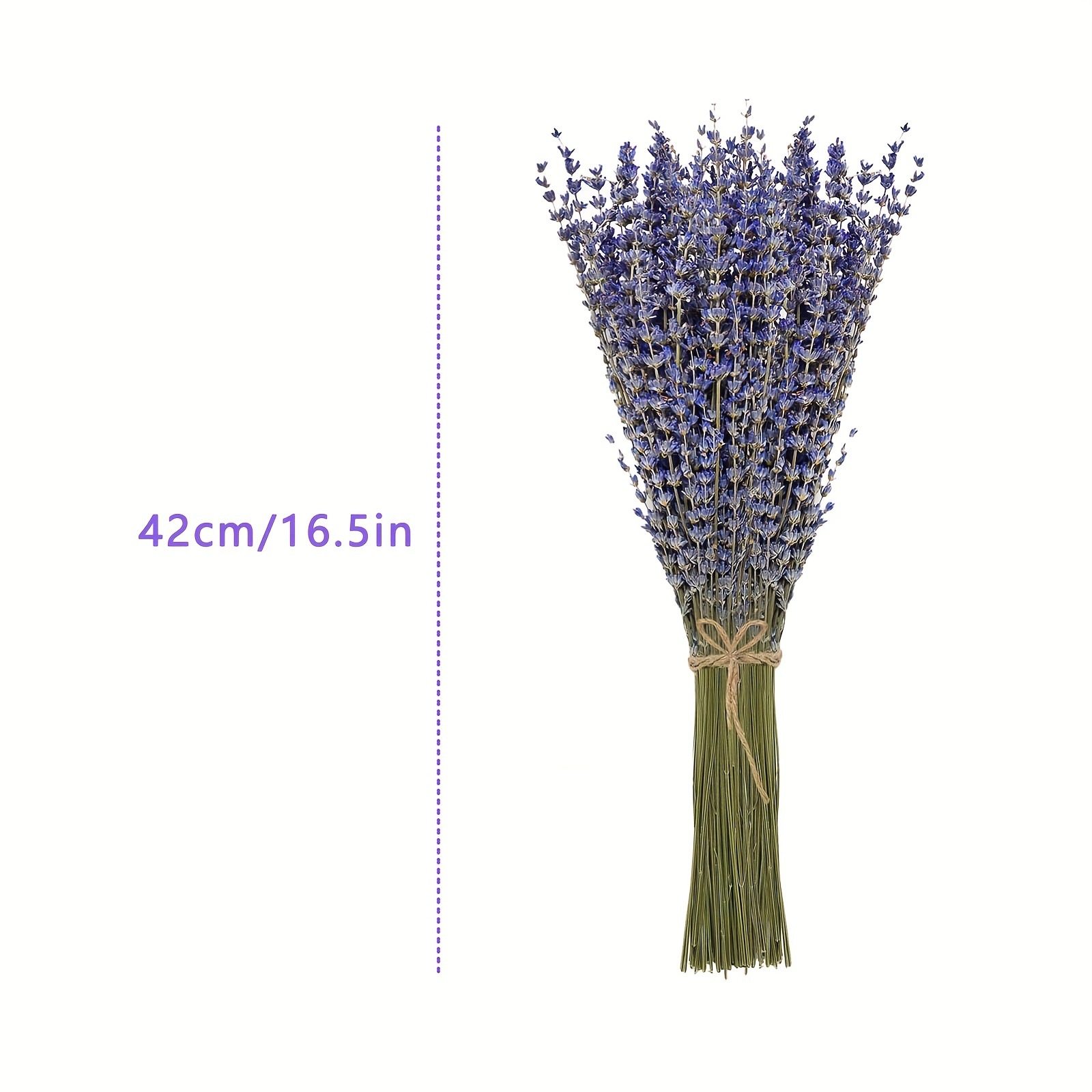 200pcs/Bunch Lavender Dried Fl – Dried Flower Bunch recenzja i cena