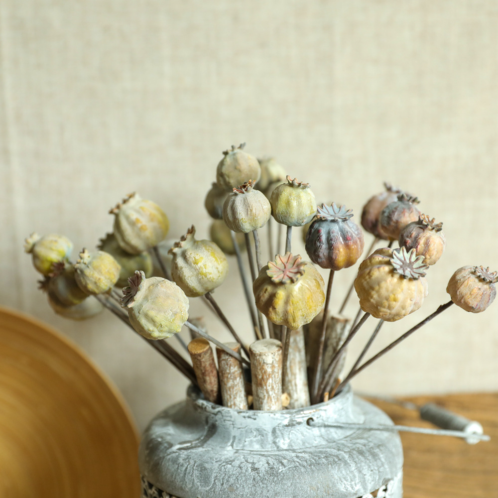 6Heads Poppies Fruit Dried Flo – Dried Flower Bunch recenzja i cena