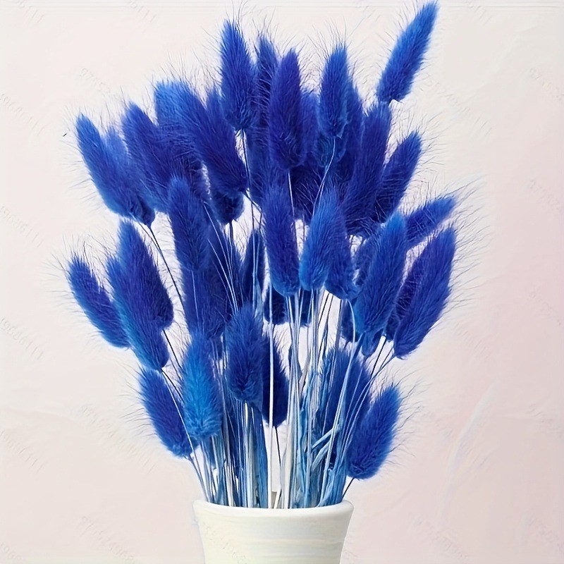 Imitation Rabbit Tails Grass D – Dried Flower Bunch recenzja i cena