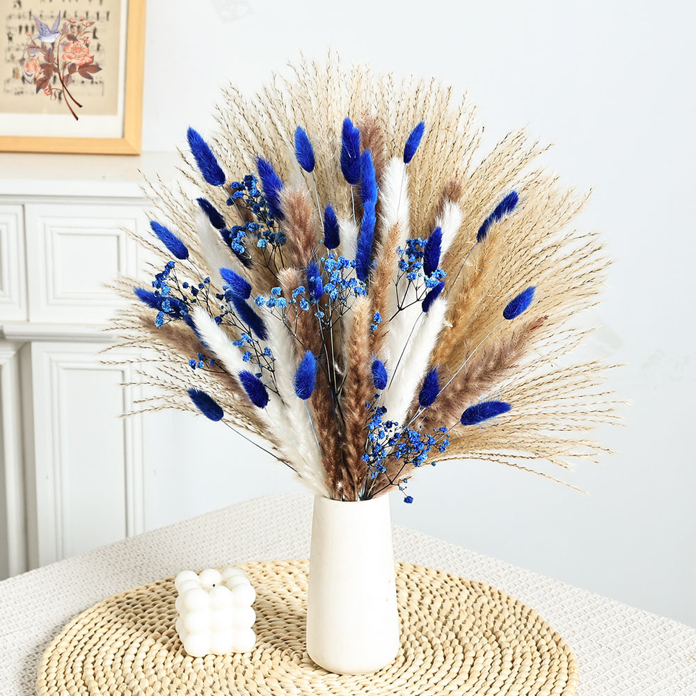 70 Stem Blue Fluffly Rabbit Ta – Dried Flower Bunch recenzja i cena