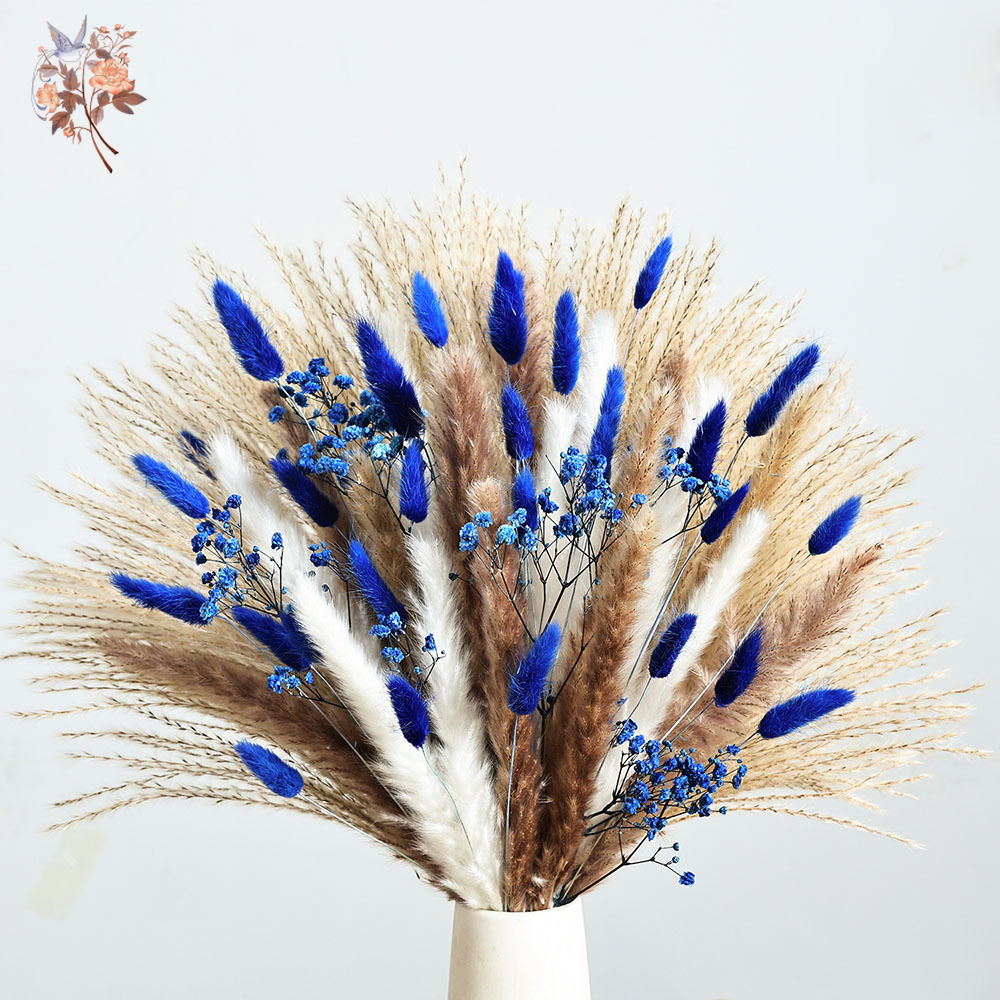 70 Stem Blue Fluffly Rabbit Ta – Dried Flower Bunch recenzja i cena
