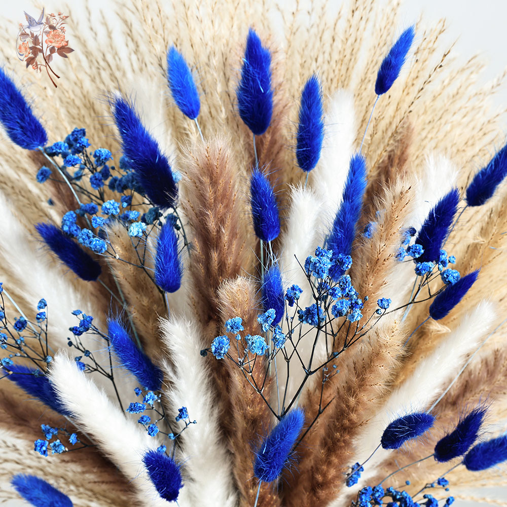 70 Stem Blue Fluffly Rabbit Ta – Dried Flower Bunch recenzja i cena