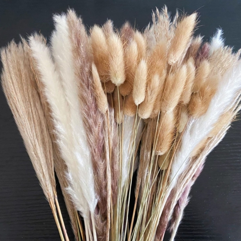 Bulk 100PCS Dried Pampas Grass – Dried Flower Bunch recenzja i cena