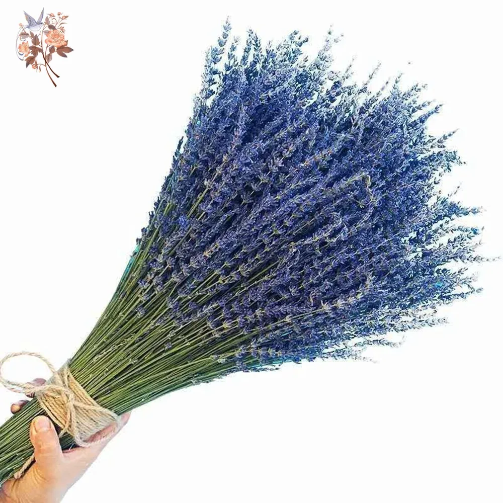 50g Natural Dried Lavender Bou – Dried Flower Bunch recenzja i cena