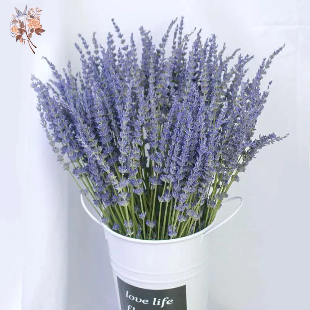 50g Natural Dried Lavender Bou – Dried Flower Bunch recenzja i cena