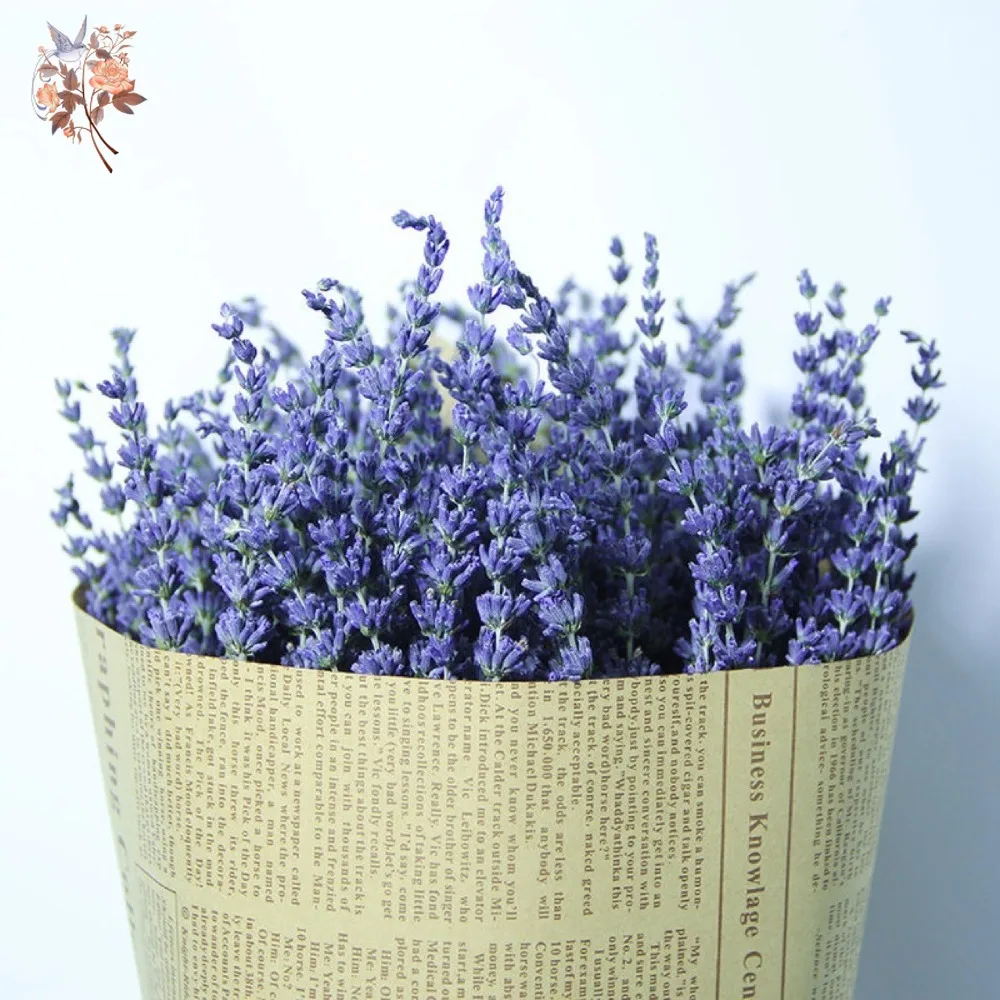 50g Natural Dried Lavender Bou – Dried Flower Bunch recenzja i cena