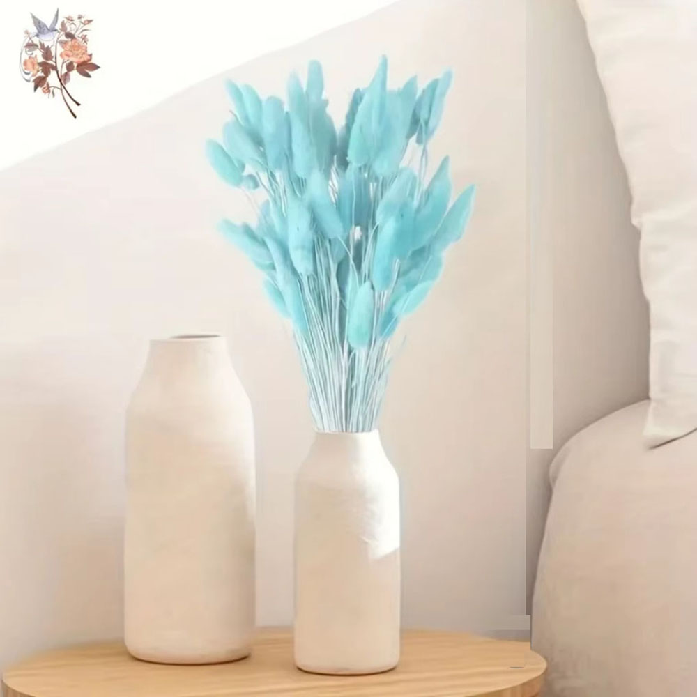 100Pcs Natural Rabbit Tails Gr – Dried Flower Bunch recenzja i cena