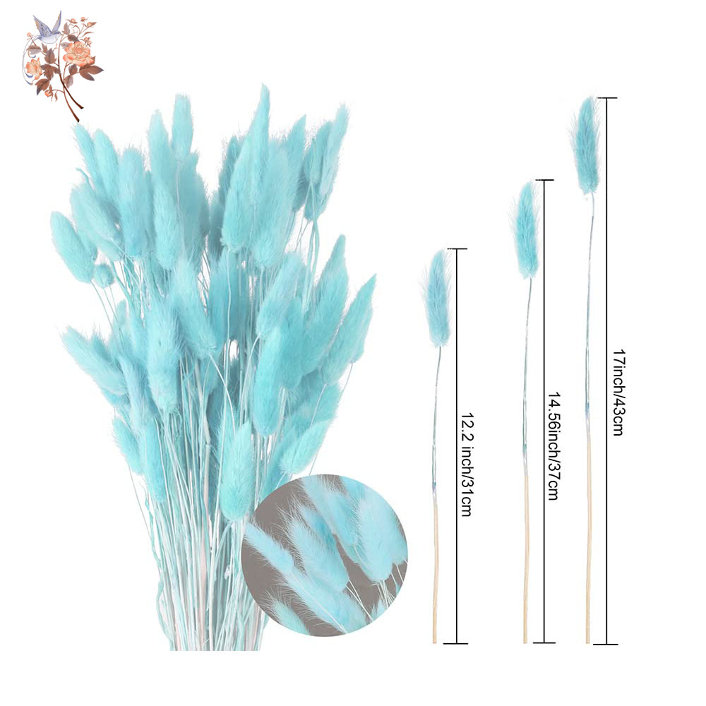 100Pcs Natural Rabbit Tails Gr – Dried Flower Bunch recenzja i cena