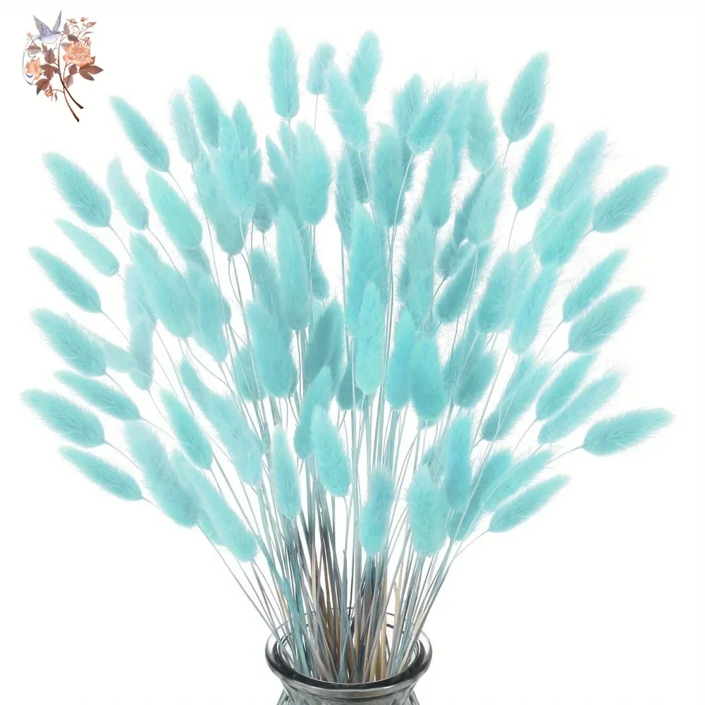 100Pcs Natural Rabbit Tails Gr – Dried Flower Bunch recenzja i cena