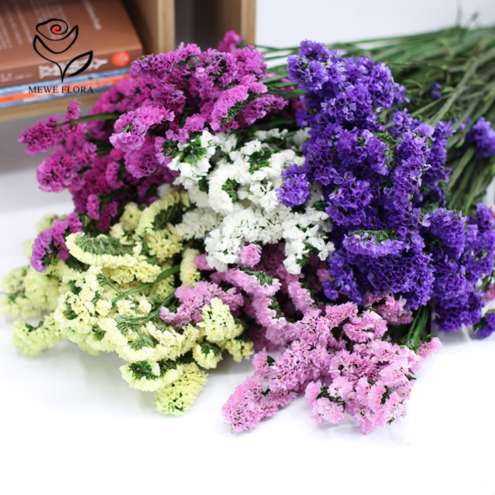 100g Dried Forget Me Not Flowe – Dried Flower Bunch recenzja i cena
