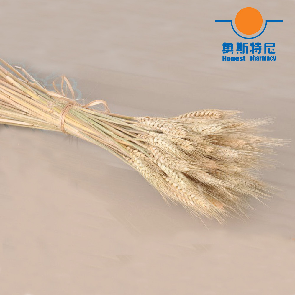50pcs natural dried flower bou – Dried Flower Bunch recenzja i cena