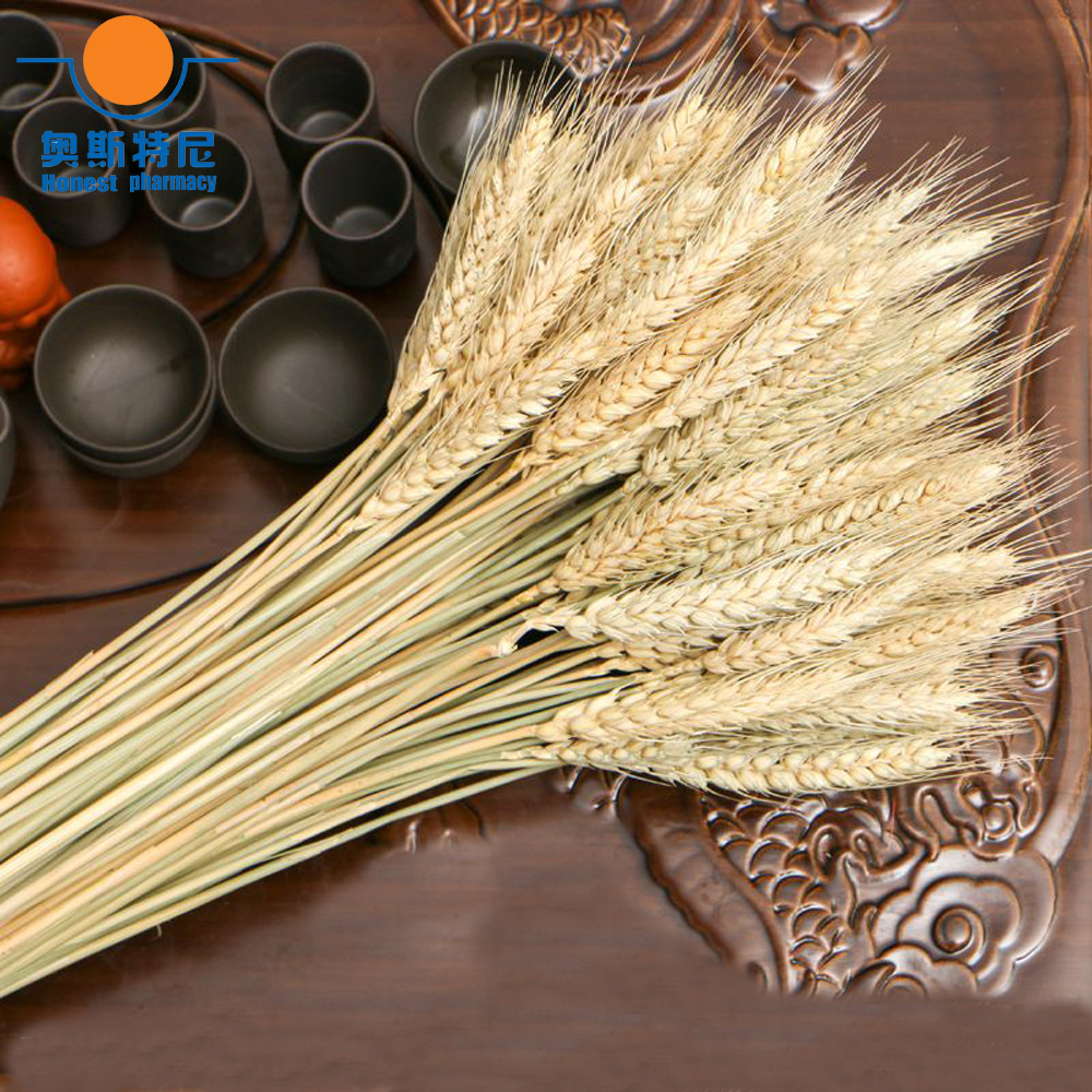 50pcs natural dried flower bou – Dried Flower Bunch recenzja i cena