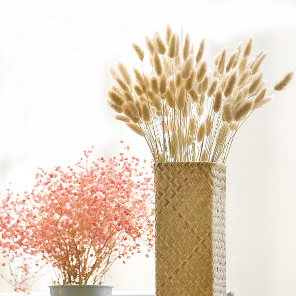 200pcs natural dried Lagurus o – Dried Flower Bunch recenzja i cena