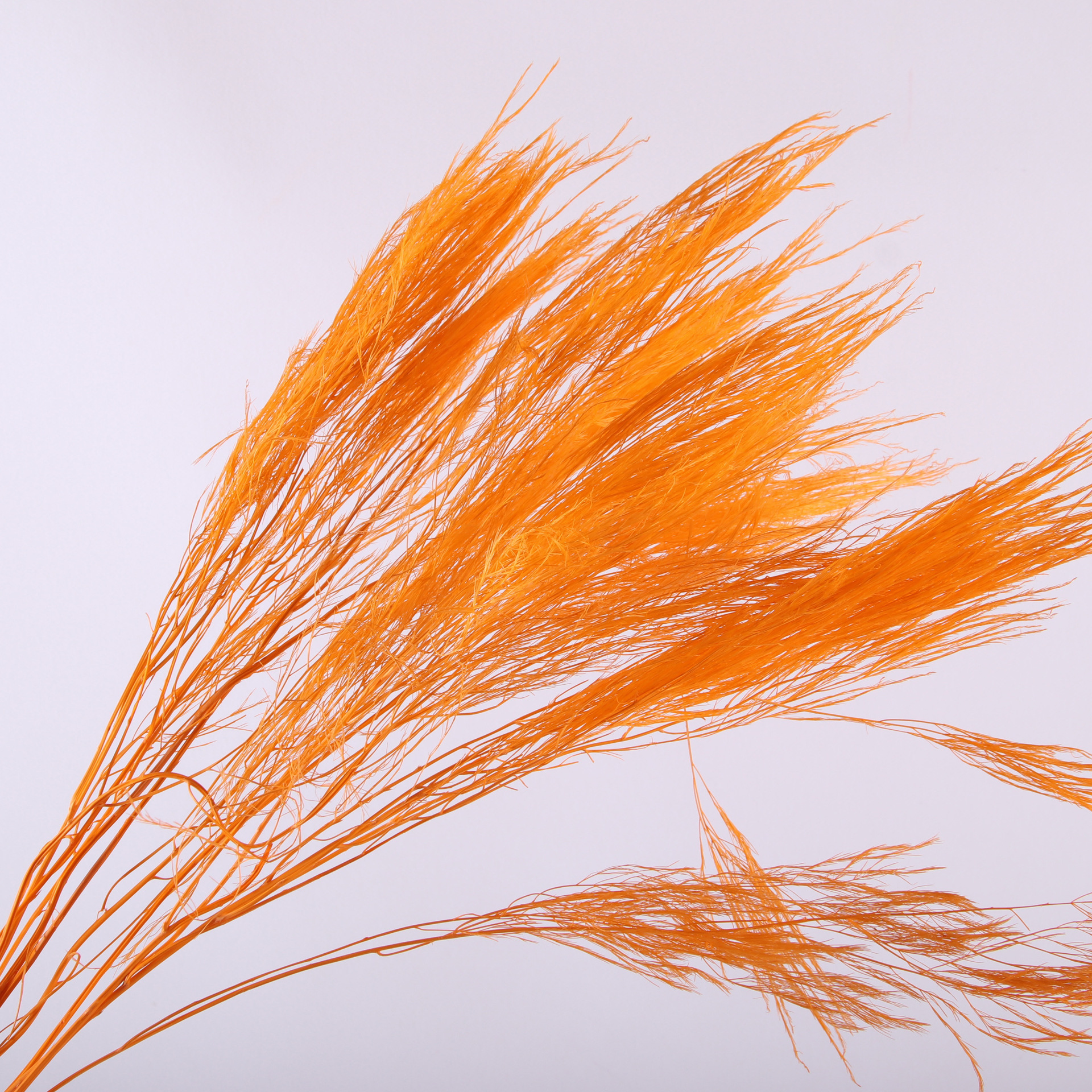10pcs/bunch Dried Flower Bouqu – Dried Flower Bunch recenzja i cena