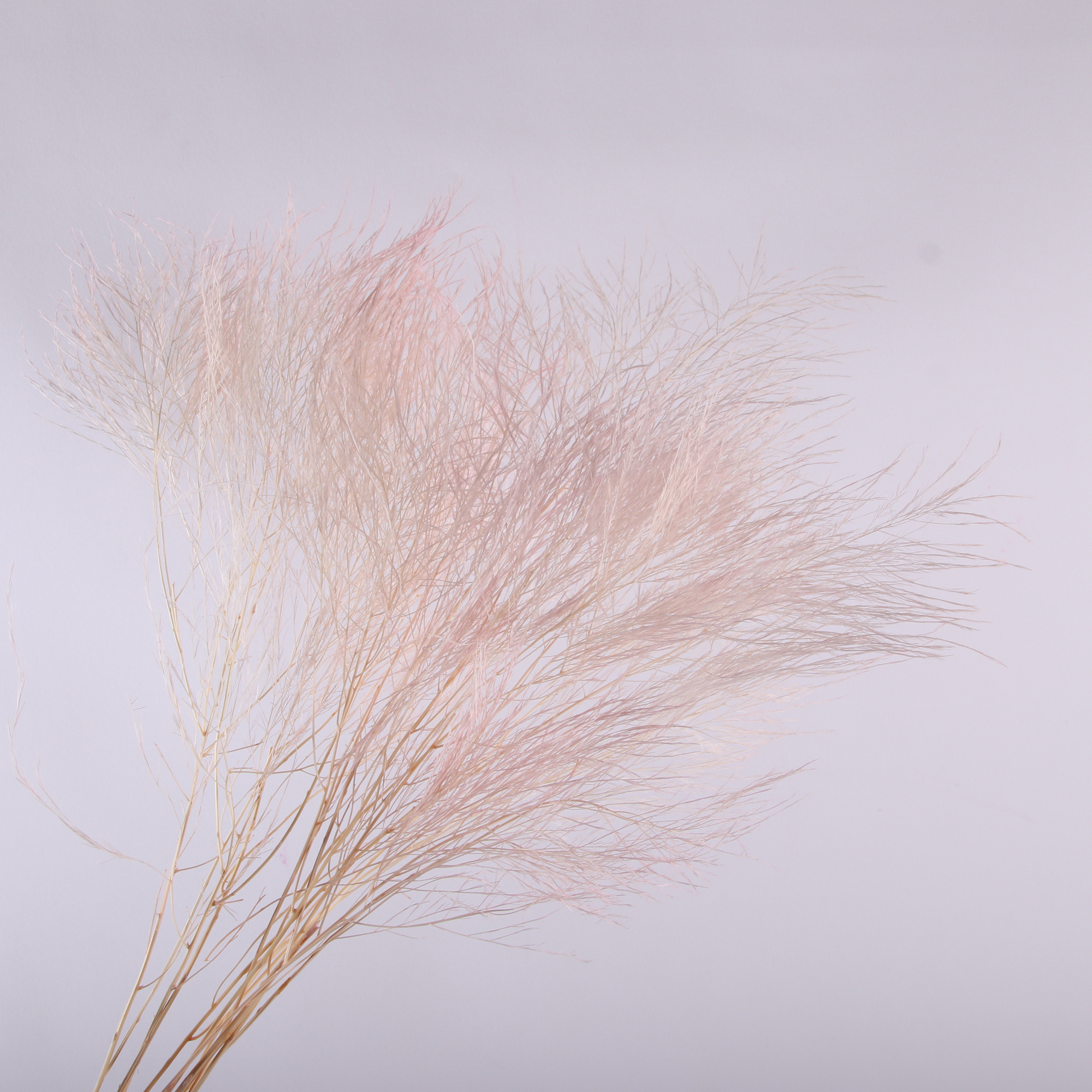10pcs/bunch Dried Flower Bouqu – Dried Flower Bunch recenzja i cena