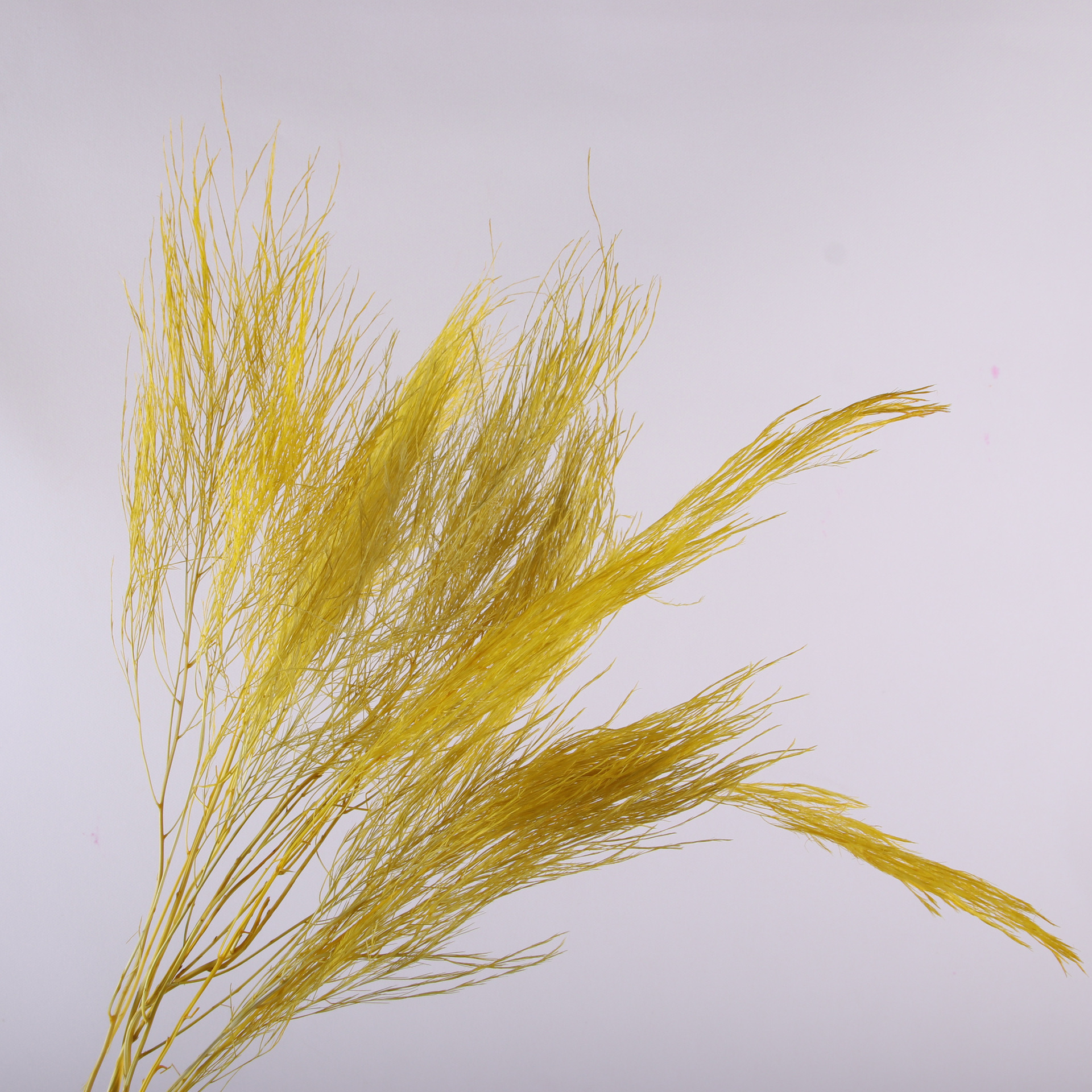 10pcs/bunch Dried Flower Bouqu – Dried Flower Bunch recenzja i cena